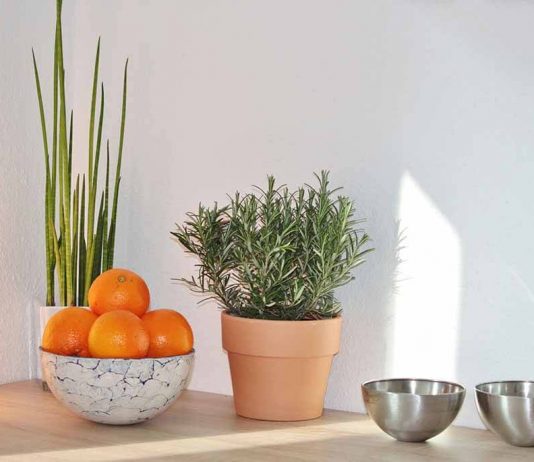 My work only allows Internet Explorer, so I have to manually